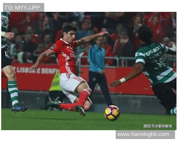 欧联杯精彩对决本菲卡逆转那不勒斯帽子戏法引爆全场激情